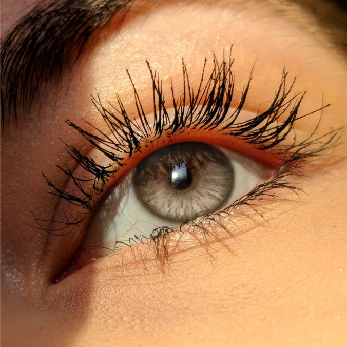 Leopard Brown Korean