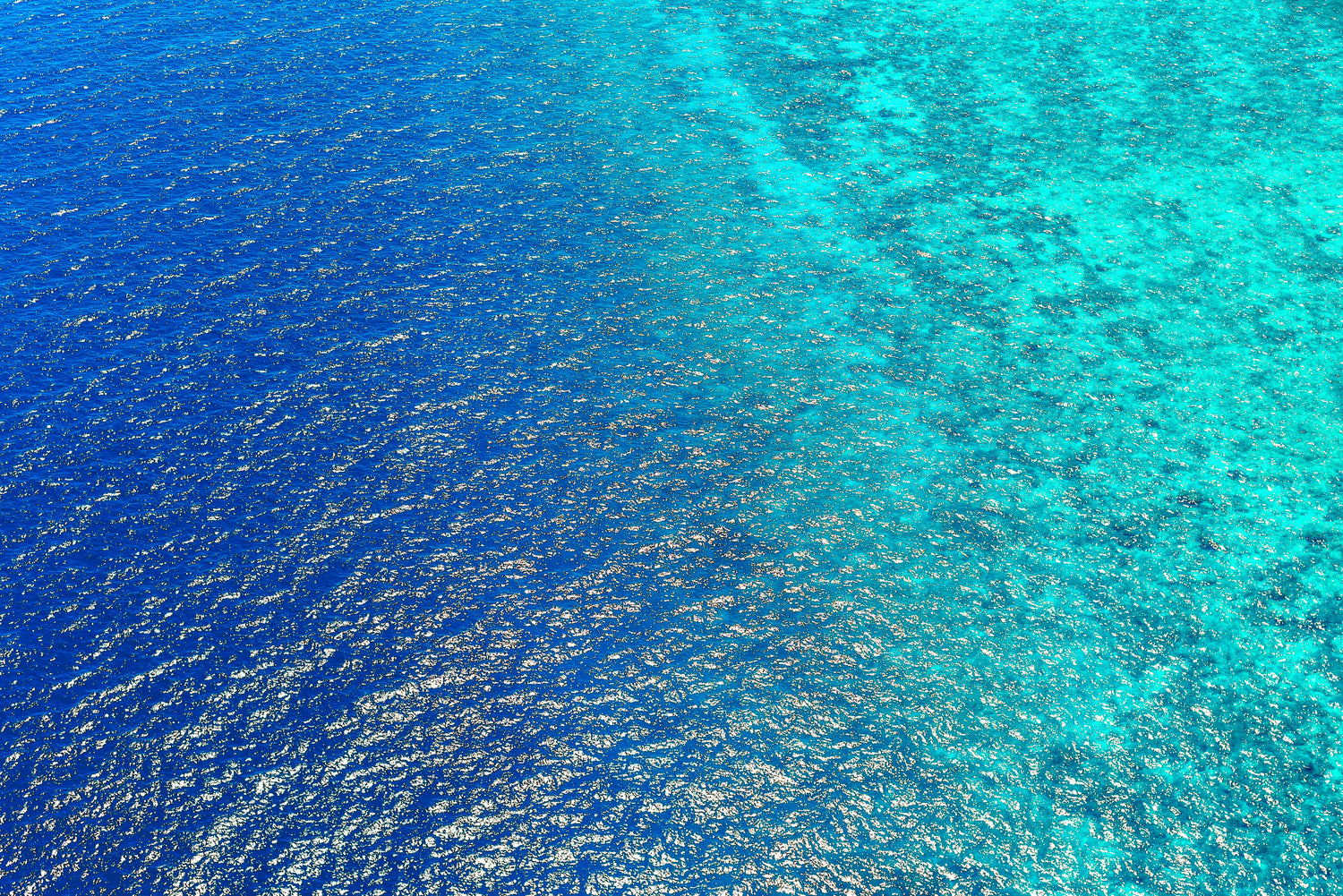 Blue Sea