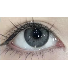 Black Iris Grey